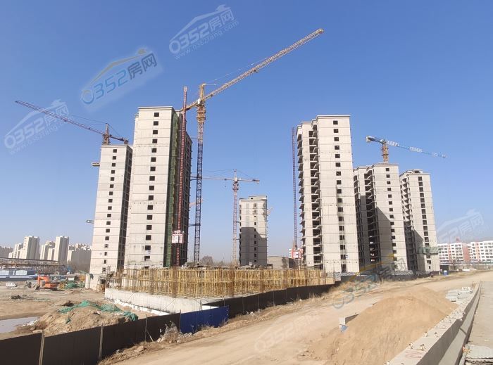 IMG_20210324_093407.jpg IMG_20210324_093407.jpg