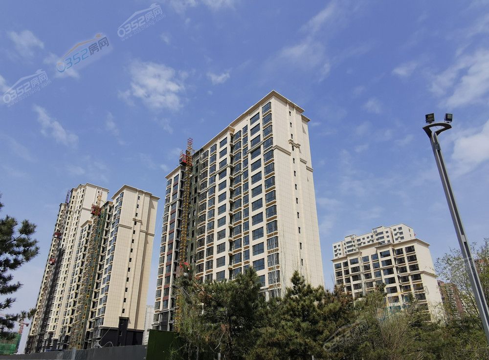 文興首席一期.jpg 文興首席一期.jpg