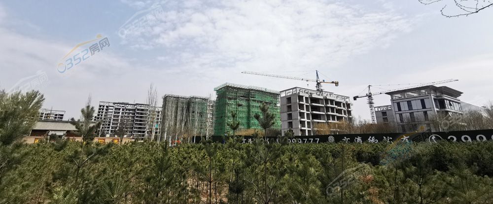 51f2dd64e3c8d94b80f0d0ef1a63d43.jpg 51f2dd64e3c8d94b80f0d0ef1a63d43.jpg