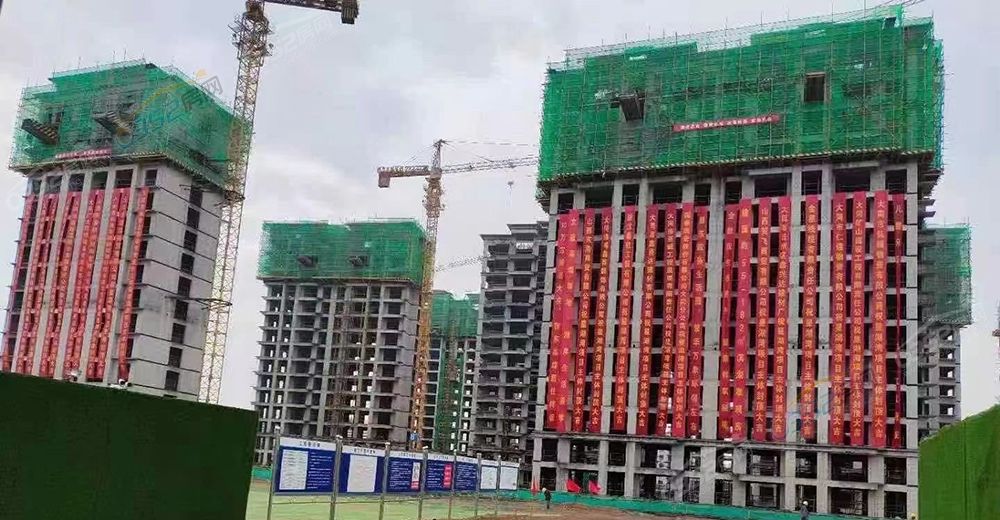 寰?俊鍥劇墖_20210624111556.jpg 寰?俊鍥劇墖_20210624111556.jpg