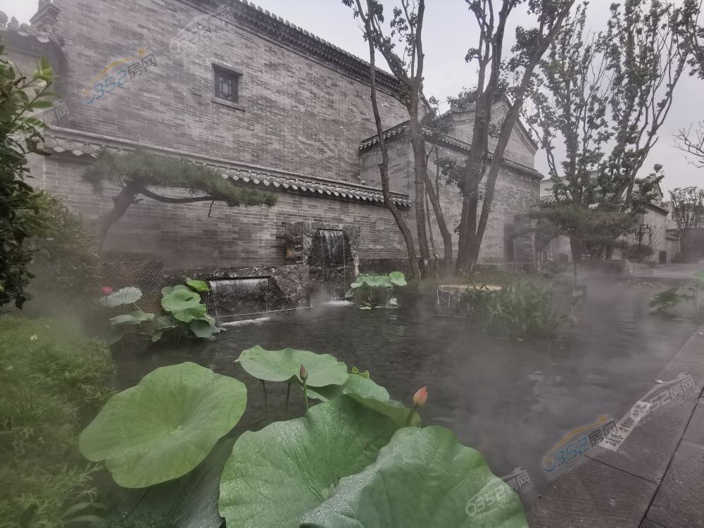 a4d387913767dbb4d9fa6b42cff201b.jpg a4d387913767dbb4d9fa6b42cff201b.jpg