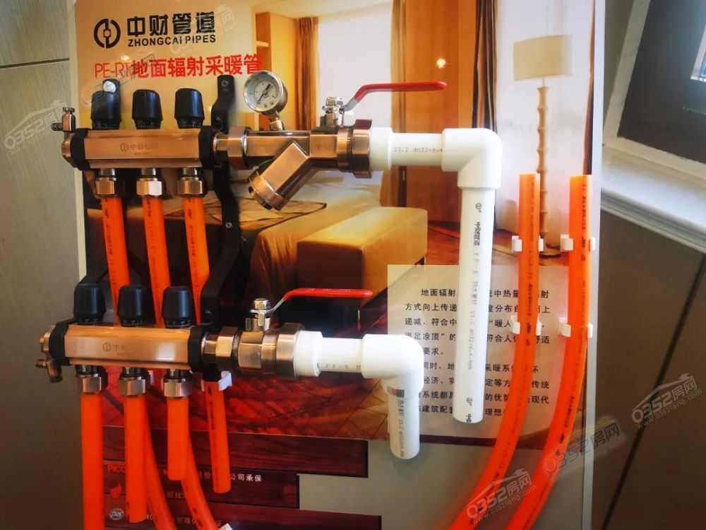 13.webp.jpg 13.webp.jpg