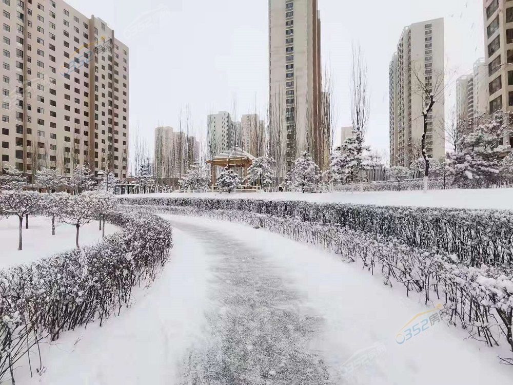 809af0ca1cee80bc8fd9d28b81f334c.jpg 809af0ca1cee80bc8fd9d28b81f334c.jpg