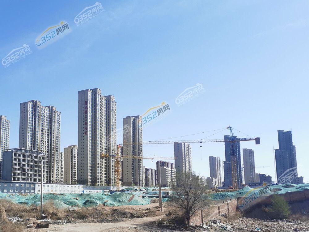 21 (1).jpg 21 (1).jpg