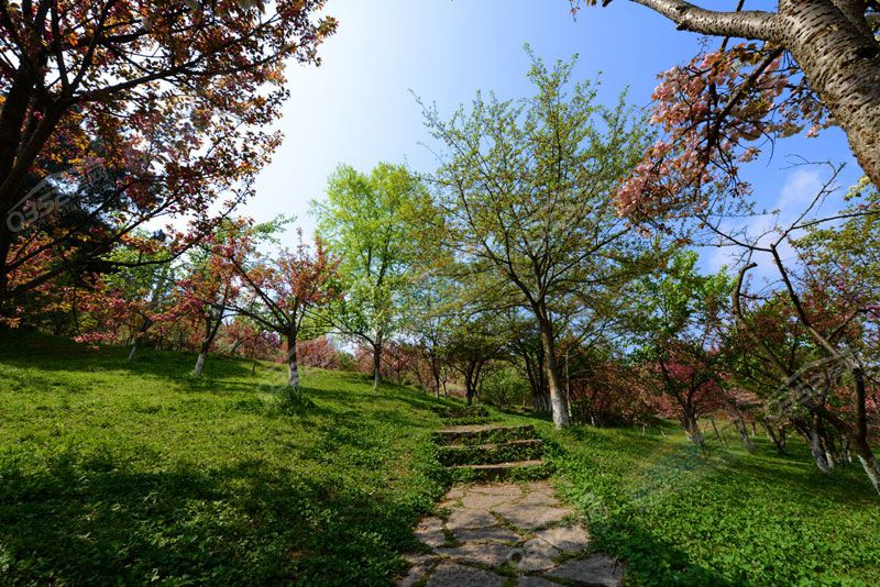 媯?灄鍏?洯.jpeg 媯?灄鍏?洯.jpeg