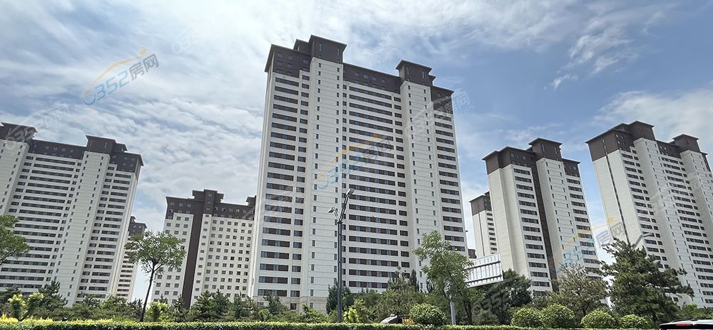 jinyuan.jpg jinyuan.jpg