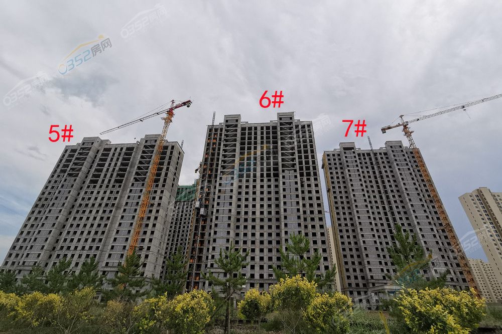 xuefuli_鍓?湰.jpg xuefuli_鍓?湰.jpg