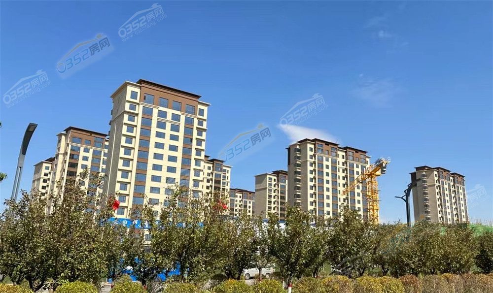 5cd5d08bfcfa78fa2f38a2bde4916cd.jpg 5cd5d08bfcfa78fa2f38a2bde4916cd.jpg