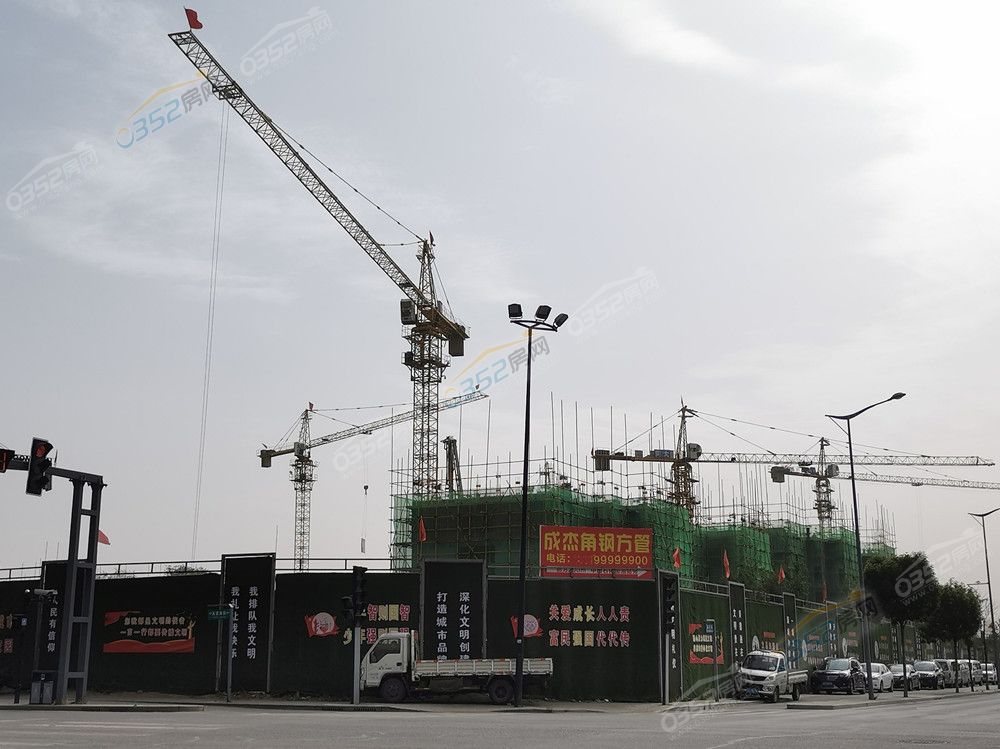 sanqi_鍓?湰.jpg sanqi_鍓?湰.jpg