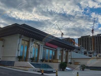 2023.7.10ς(c)(sh)ĈD